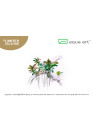 Bucephalandra sp. 'Aqua Artica' - A.A. GOLD steril