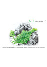 Hemianthus callitrichoides 'Cuba' - A.A. steril