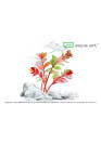 Ludwigia sp.'Super Mini Red' - A.A. steril