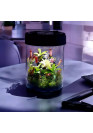 A.A. VivoVerde MicroTerrarium - Terrárium