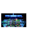 AQUA WEEK Z-series Marine 250SEA-Z PRO APP 10  LED csatornás tengeri világítás