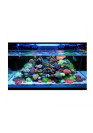 AQUA WEEK Z-series Marine 250SEA-Z PRO APP 10  LED csatornás tengeri világítás
