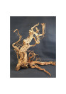 Azalea Wood dekor fa