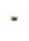 Cryptocoryne cordata rosea - TF Steril