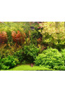 AQUA WEEK V-series K900 ES-K FULL SPECTRUM RGB+W LED 90-110 cm világítás