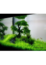 AQUA WEEK P-series P900 PRO-APP 3.0 Control RGB+UV LED világítás akár 120cm-ig