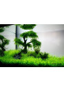 AQUA WEEK P-series P1200 PRO-APP 3.0 Control RGB+UV LED világítás akár 150cm-ig