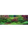 AQUA WEEK P-series P900 PRO-APP 3.0 Control RGB+UV LED világítás akár 120cm-ig