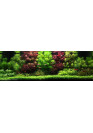 AQUA WEEK V-series K600 ES-K FULL SPECTRUM RGB+W LED 60-80 cm világítás