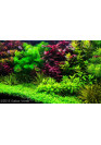 AQUA WEEK P-series P900 PRO-APP 3.0 Control RGB+UV LED világítás akár 120cm-ig