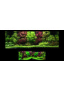 AQUA WEEK P-series P600 PRO-APP 2.0 Control RGB+UV LED világítás akár 90cm-ig