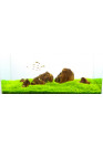 Aqua Week M-series 900 K-Pro APP Control RGB+UV LED 90-110cm-ig