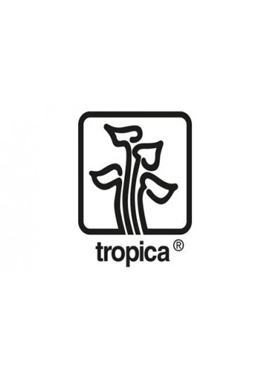 Tropica