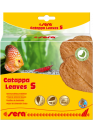 Sera Catappa Leaves - Catappa levél