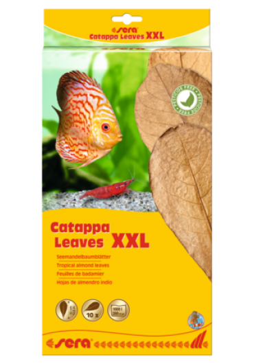 Sera Catappa Leaves - Catappa levél