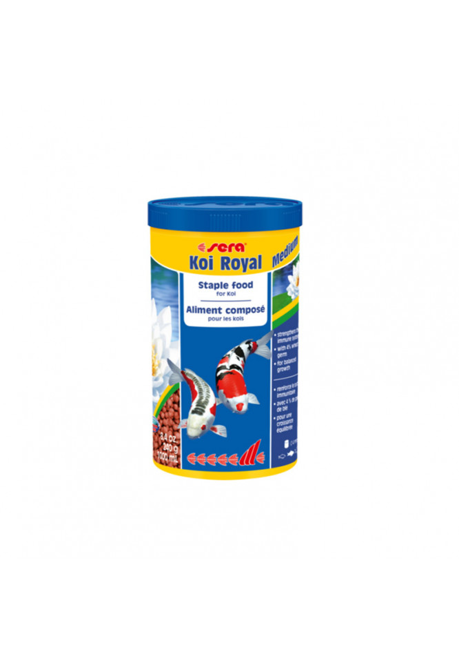 S03-0103 - Royal - Medium main image 0