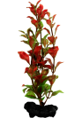 Tetra DecoArt - Red Ludwigia