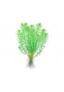 Myriophyllum 'Guyana' - Tropica steril